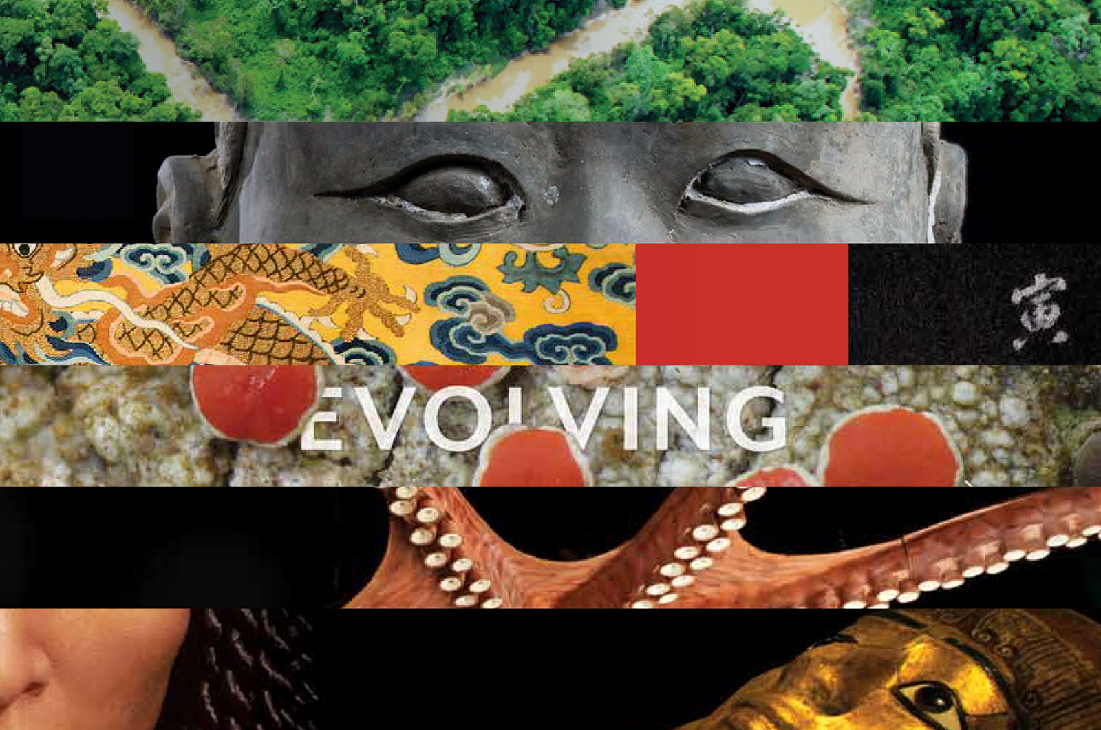 Annual Reports Bark Design